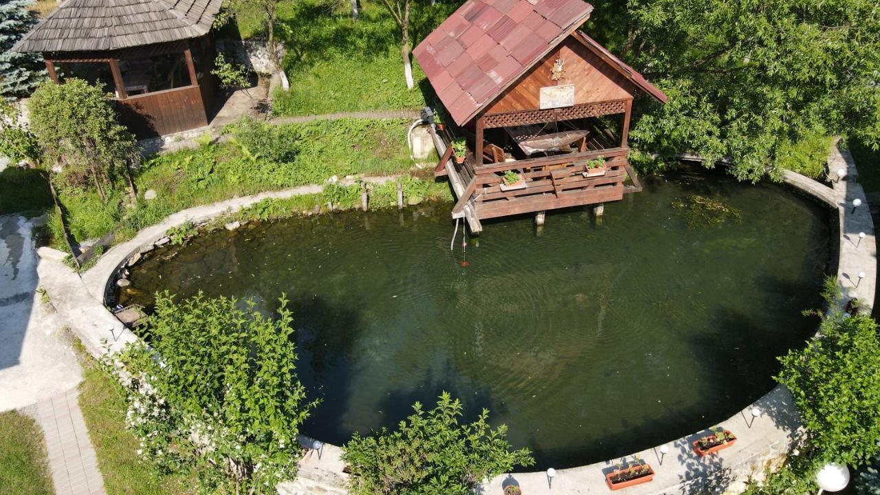 Pensiunea Nagy Vişeu de Sus Exterior foto