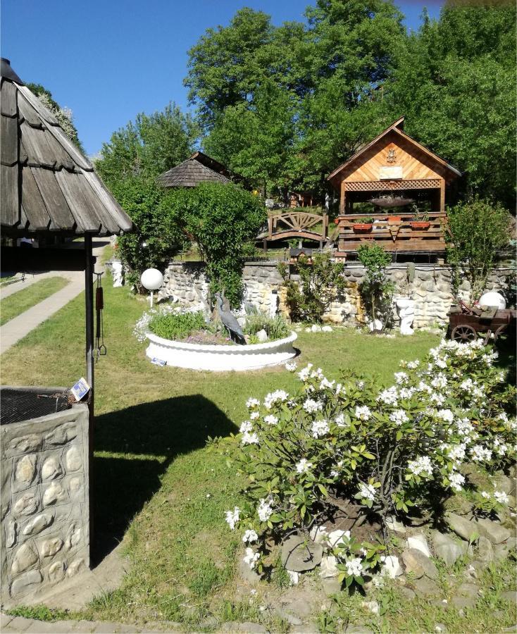 Pensiunea Nagy Vişeu de Sus Exterior foto